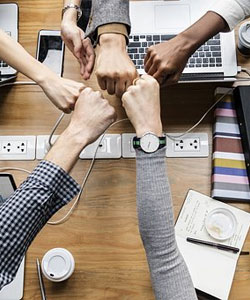about-our-team